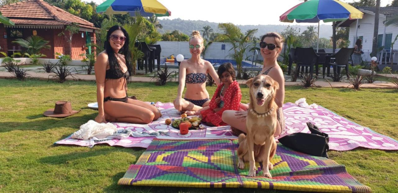 White Truffle Resort, Arambol Esterno foto
