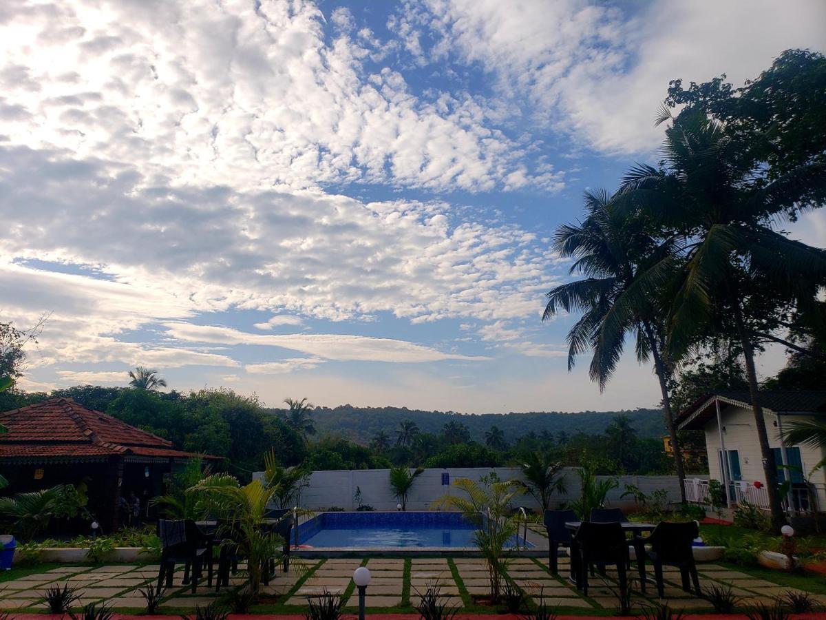White Truffle Resort, Arambol Esterno foto