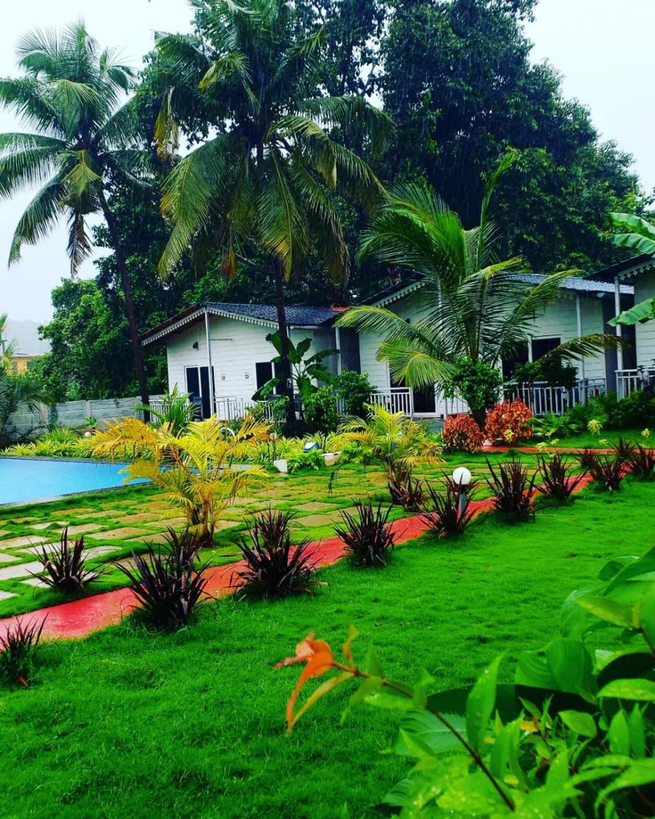 White Truffle Resort, Arambol Esterno foto