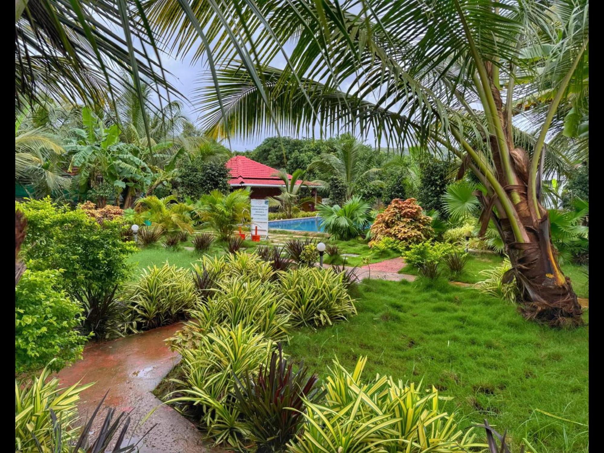 White Truffle Resort, Arambol Esterno foto