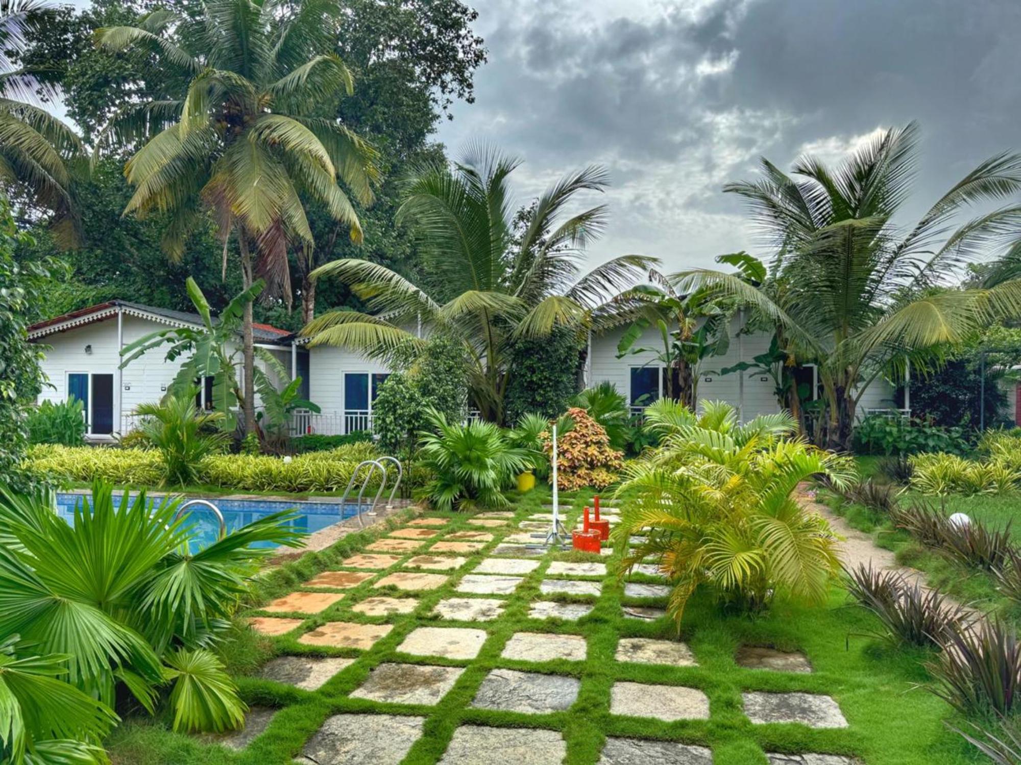 White Truffle Resort, Arambol Esterno foto