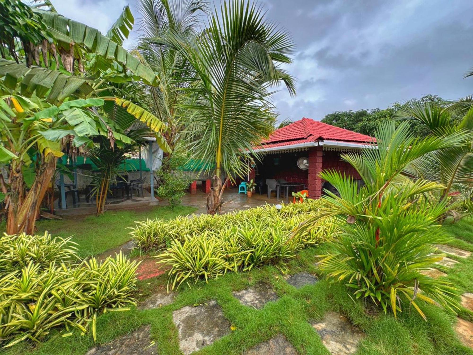 White Truffle Resort, Arambol Esterno foto